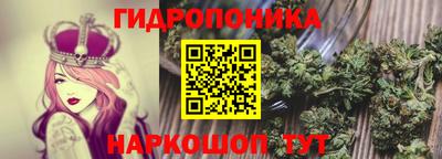 стафф Чапаевск