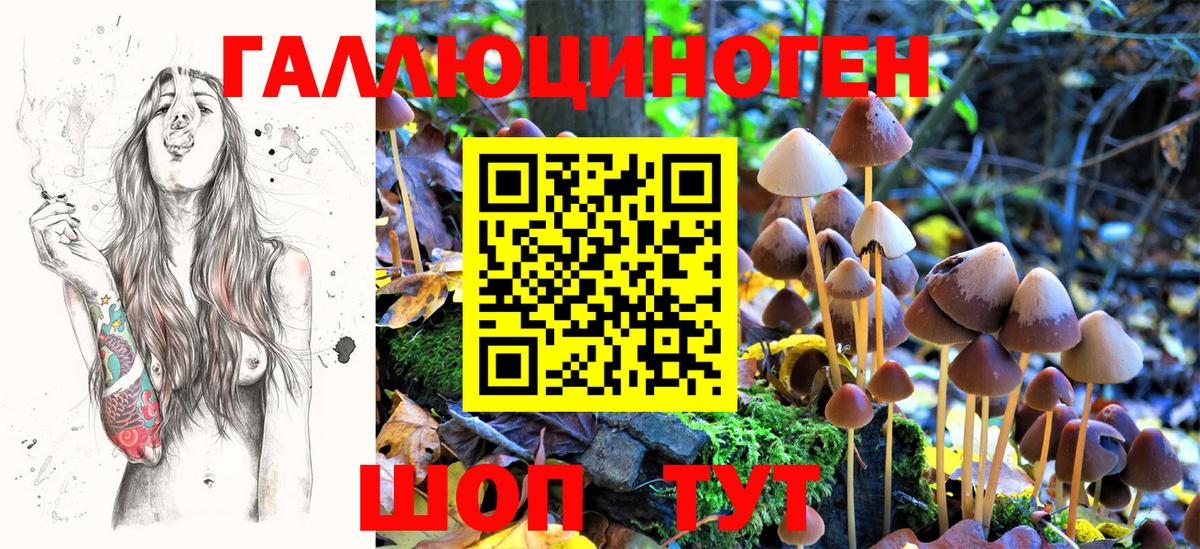 Псилоцибиновые грибы мицелий  Вход с VPN  Борзя 